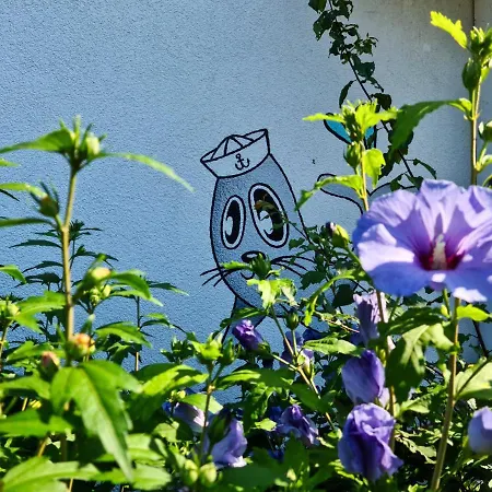 Apartment Ferienwohnungen Fuer Den Ostseeurl *